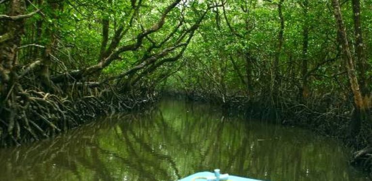 baratang-island-abode-of-natural-wonders